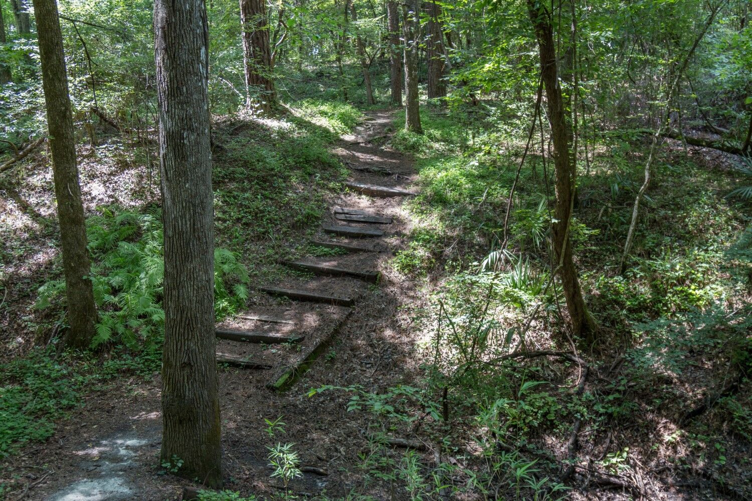 Camping trail